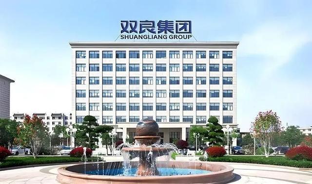 双良集团与茅台：绿色发展征程中的共赢典范